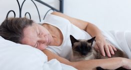Why Does Your Cat Wakes You Up At Night?