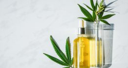 Effects of CBD Oil On Kidneys – Know How Does It Promote Healthy Kidneys