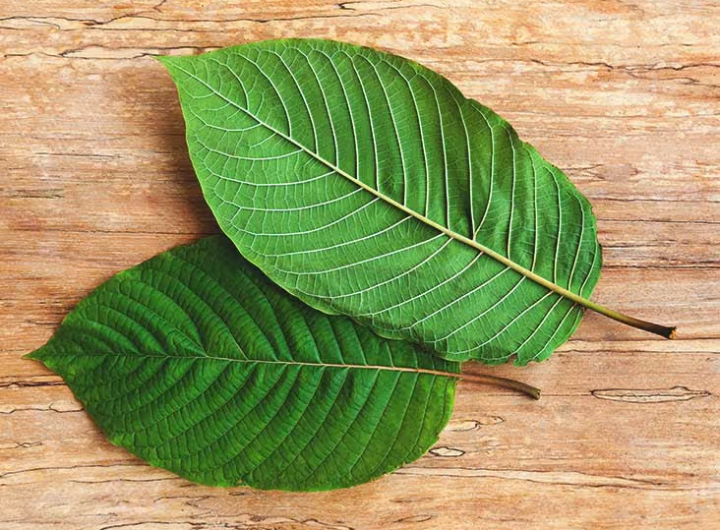 A beginner's guide to trying kratom shots for the first time